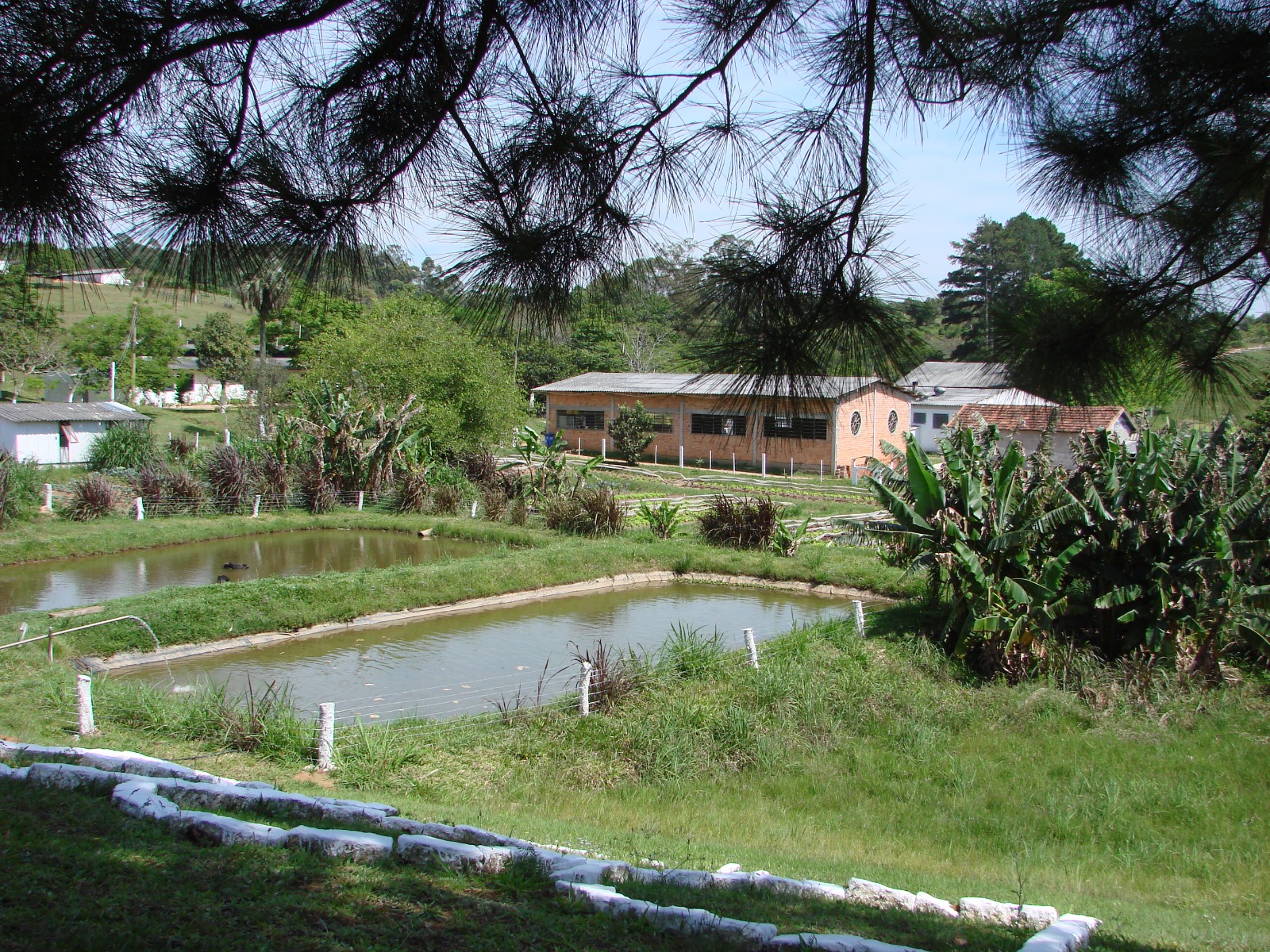 Reciclagem PACTOPOA